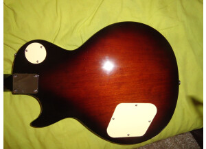 Gibson Les Paul Custom Class5 (26028)