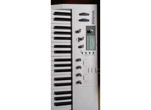 Waldorf Blofeld Keyboard (96492)
