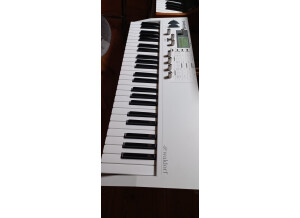 Waldorf Blofeld Keyboard (5449)