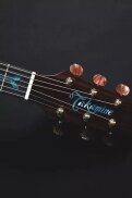 LTD2023HEAD LTD2023HEAD