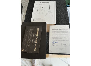 Moog Music Claravox Centennial Theremin (19328)