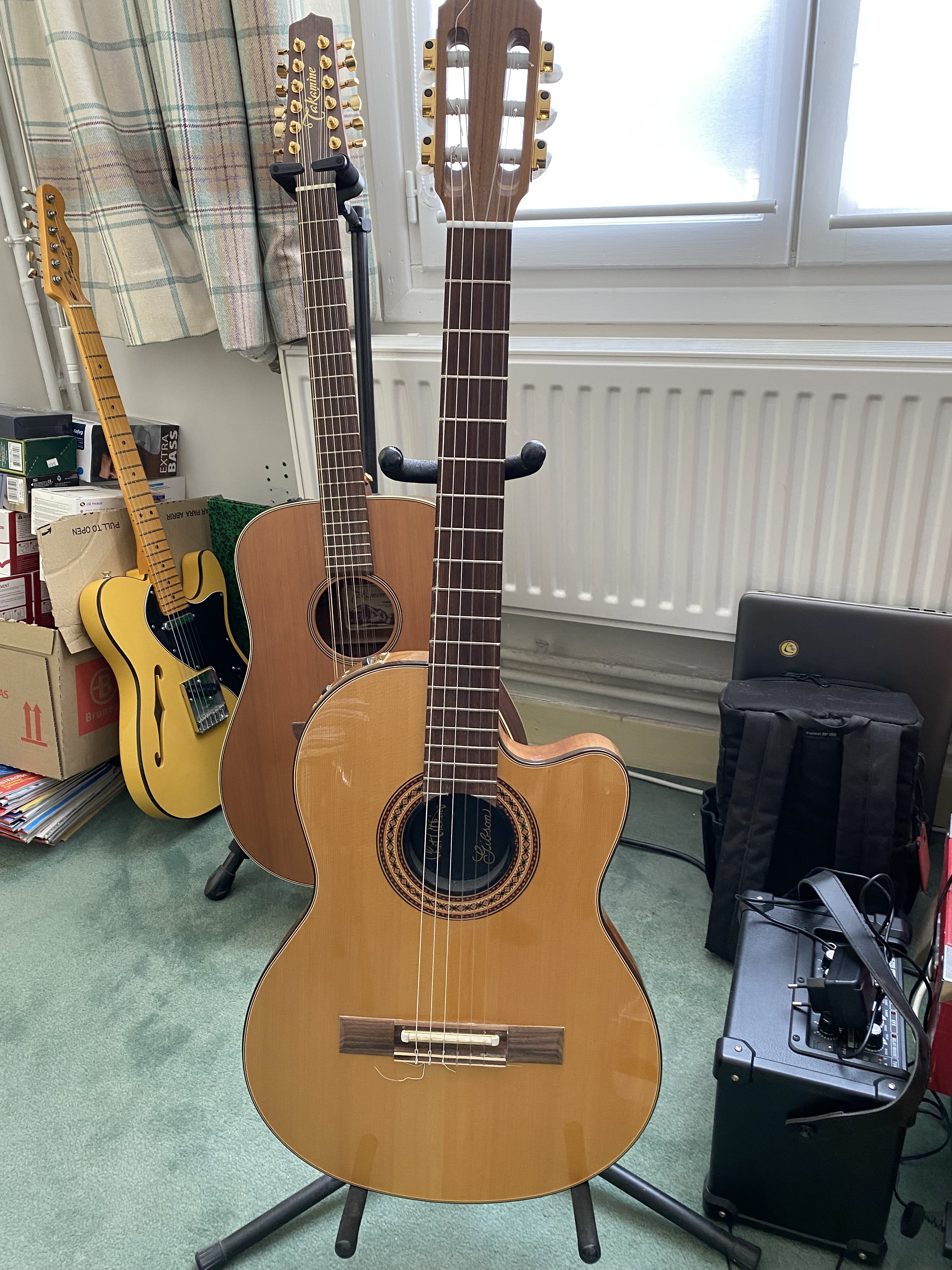 Gibson Chet Atkins CE/CEC