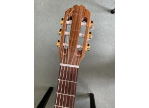 Gibson Chet Atkins CE/CEC (43070)