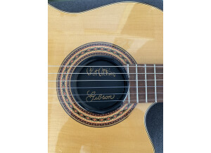 Gibson Chet Atkins CE/CEC (51378)