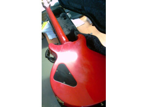 Gibson Les Paul Standard Double Cut Plus (78466)