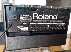 Roland AC-60 (10312)