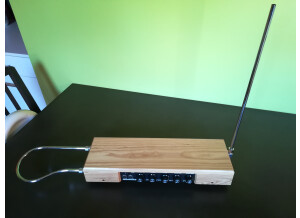 Moog Music Etherwave Theremin Plus (76433)
