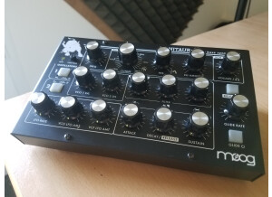 Moog Music Minitaur (8176)