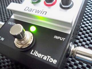 LiberaToe Darwin