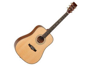 tanglewood TW15-H