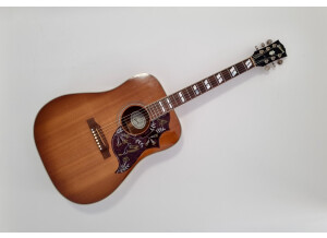 Gibson Hummingbird (69075)