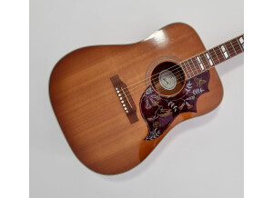 Gibson Hummingbird (46053)