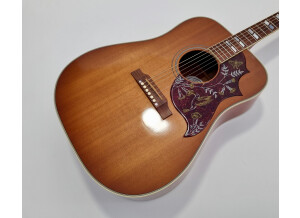 Gibson Hummingbird (47019)