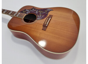 Gibson Hummingbird (31196)