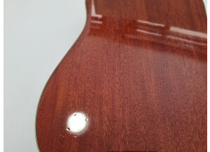 Gibson Hummingbird (1171)