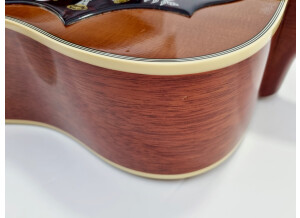 Gibson Hummingbird (6082)
