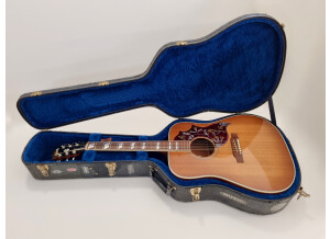 Gibson Hummingbird (19798)