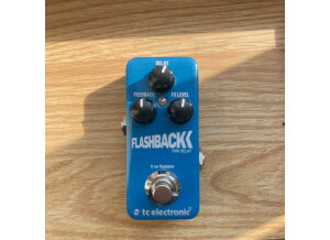 TC Electronic Flashback 2 Mini Delay