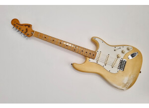 Fender Stratocaster [1965-1984] (77039)