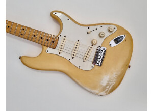 Fender Stratocaster [1965-1984] (39507)