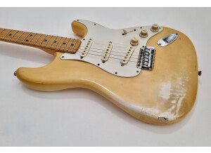 Fender Stratocaster [1965-1984] (58689)