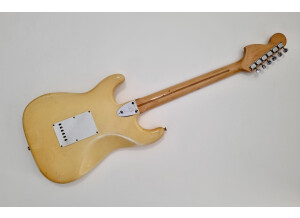 Fender Stratocaster [1965-1984] (38209)