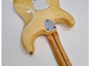 Fender Stratocaster [1965-1984] (71662)