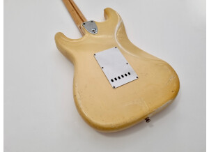 Fender Stratocaster [1965-1984] (95300)