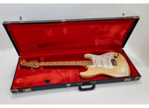 Fender Stratocaster [1965-1984] (4695)