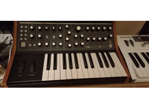 Moog Music Subsequent 25 (14857)