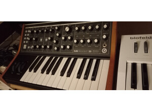 Moog Music Subsequent 25 (27280)