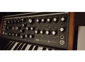 Moog Music Subsequent 25 (14671)