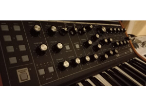 Moog Music Subsequent 25 (11077)