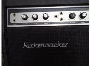 Rickenbacker Tr7