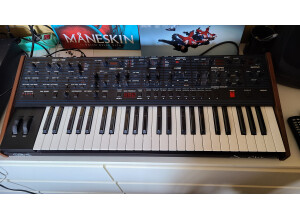 Dave Smith Instruments OB-6 (73502)