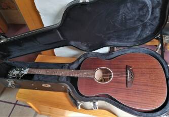 D'angelico Premier Tammany LS