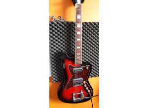 Silvertone 1478 Silhouette