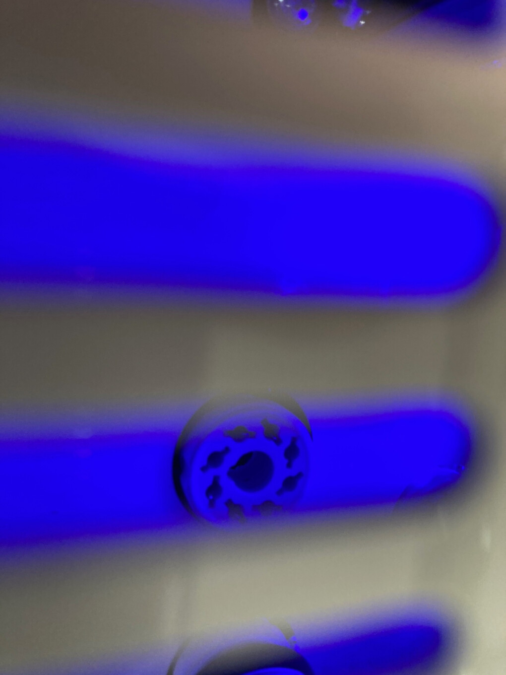 5673839.jpg 5673839.jpg