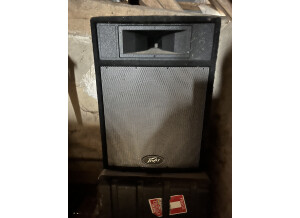 Peavey Pro 15 (78918)