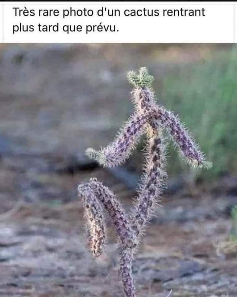 5674974.jpg 5674974.jpg