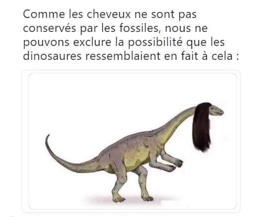 5674981.jpg 5674981.jpg