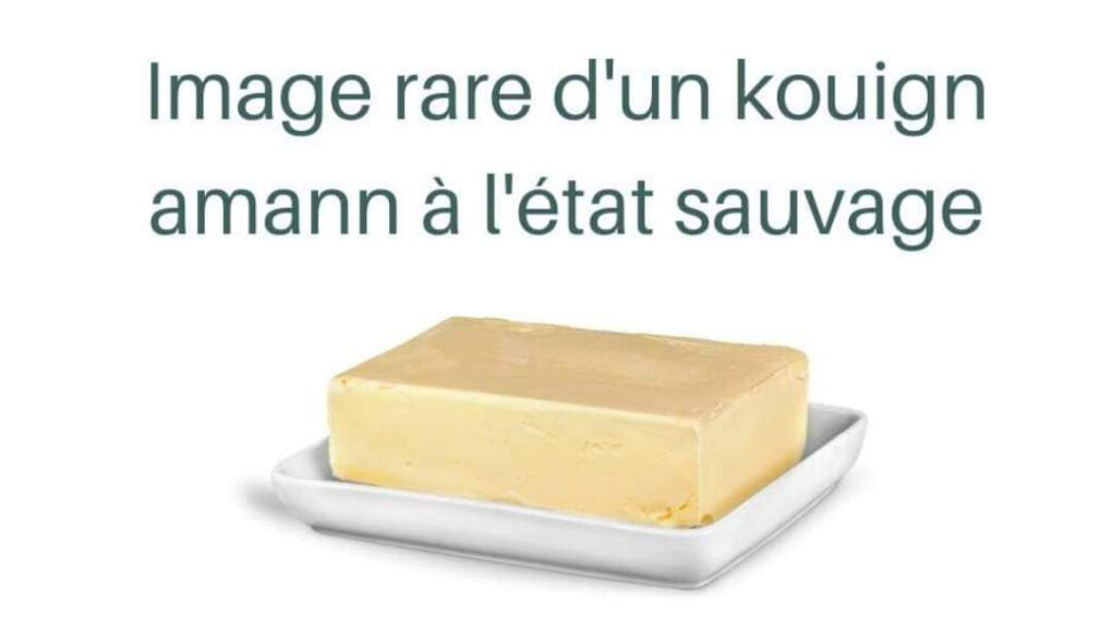 5674985.jpg 5674985.jpg