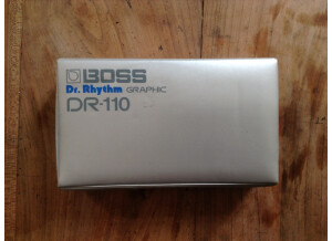 Boss DR-110 Dr. Rhythm Graphic (72925)