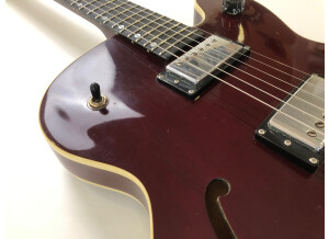 Gibson Chet Atkins Tennessean (74653)