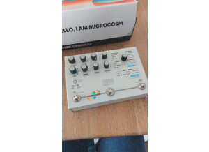 Hologram Electronics Microcosm granular (4739)
