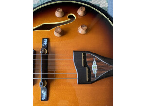 Ibanez GB200 Prestige (94308)