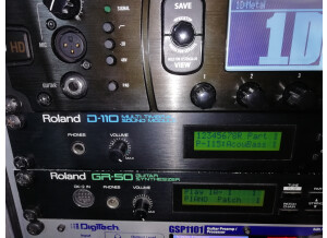 Roland D-110 (8965)