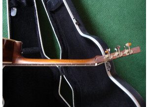 Tanglewood TW73 B (90125)