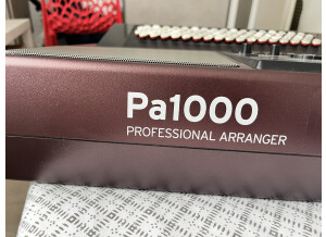 Korg Pa1000 (44223)