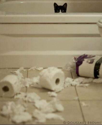 5677641.jpg 5677641.jpg